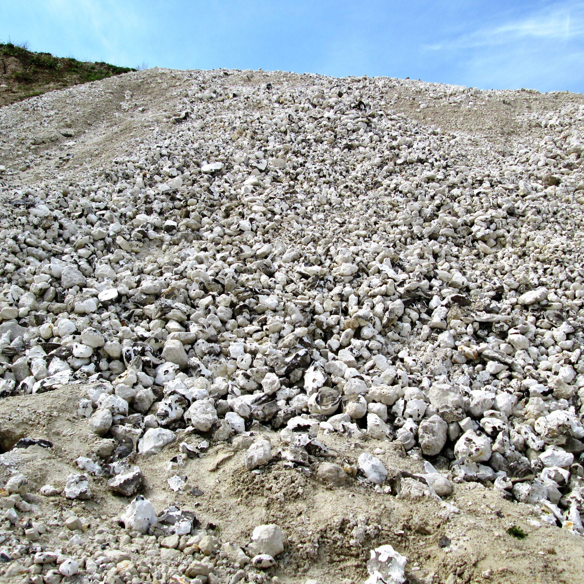 Dalbyover Kalkgrav