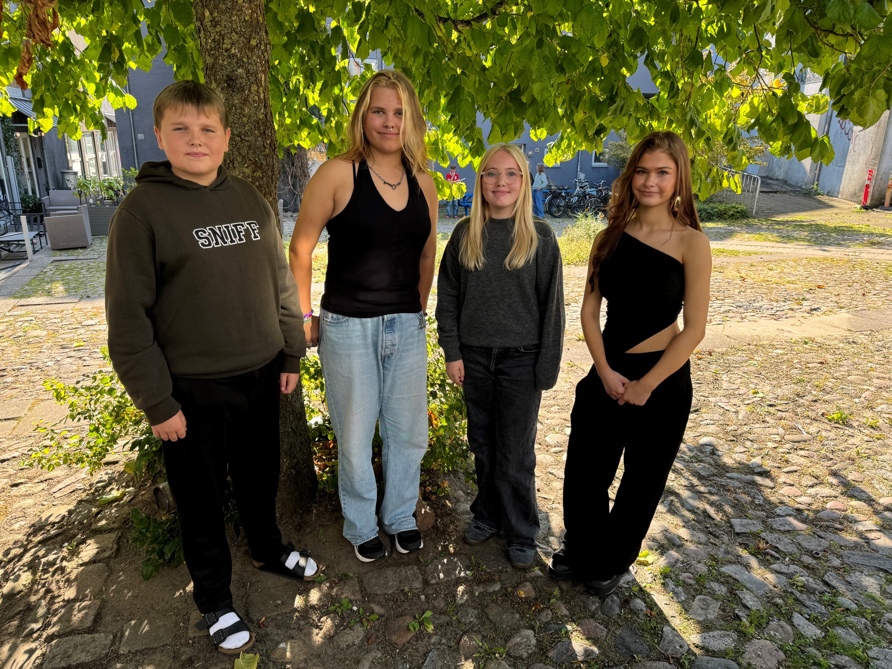 4 unge mennesker der står foran et tre