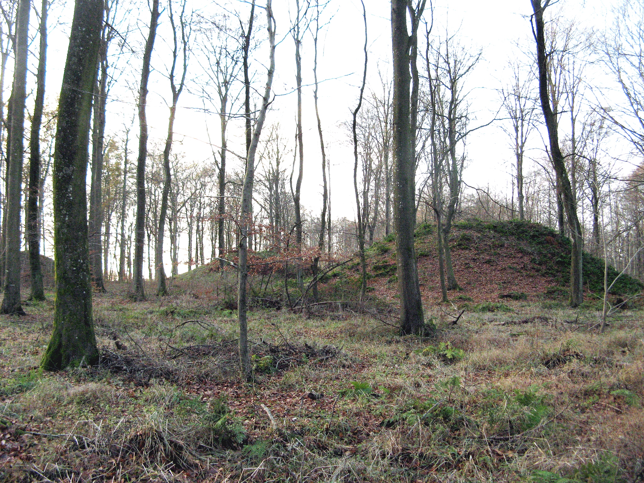 Tre høje i Fussingø Skov