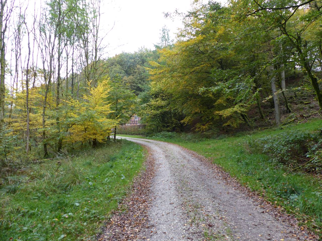 Skovløberhuset lige om hjørnet i Fussingø Skov