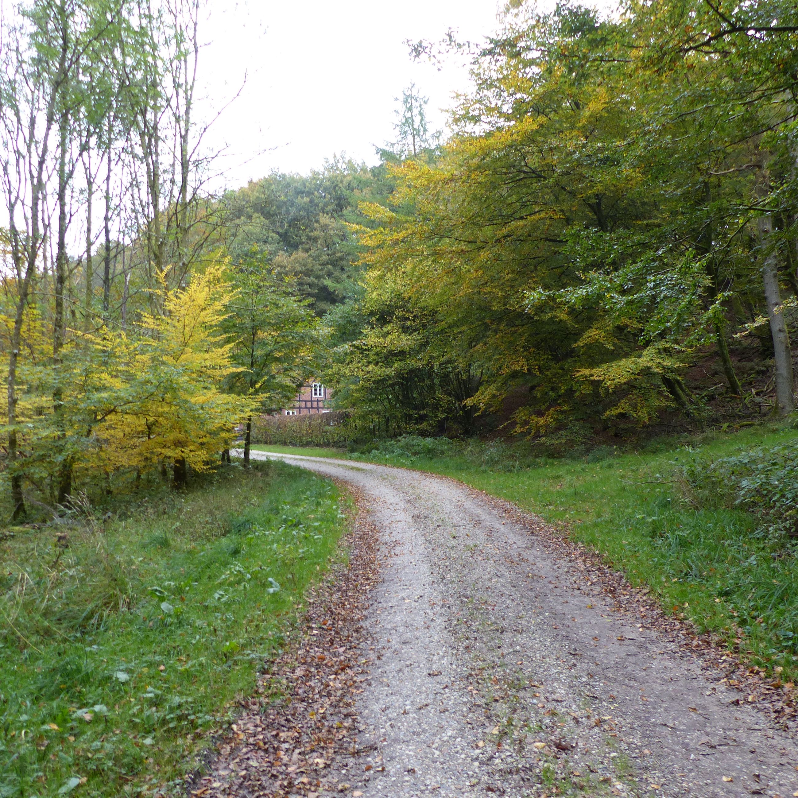 Skovløberhuset lige om hjørnet i Fussingø Skov
