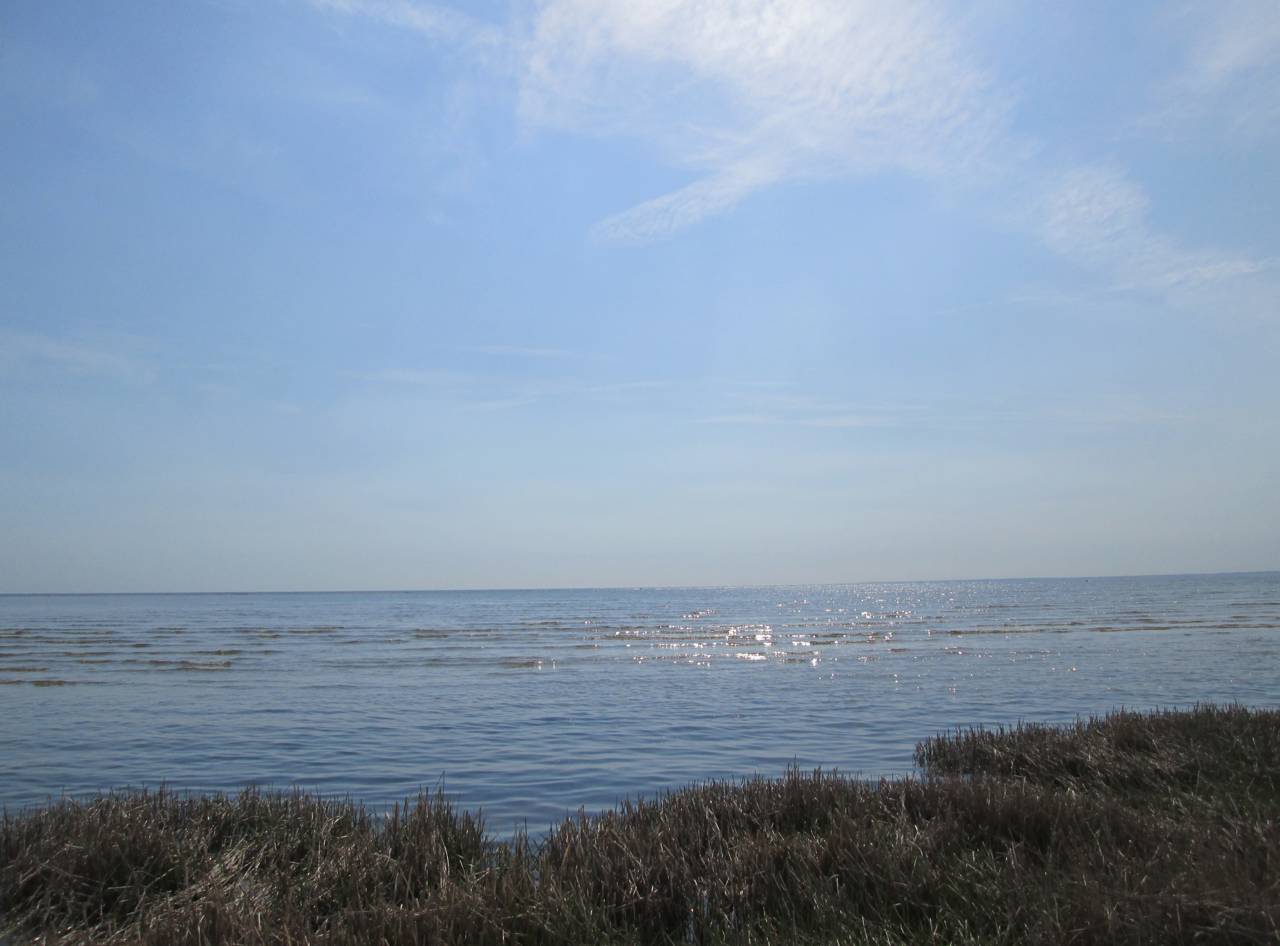 Strandengen og Kattegat