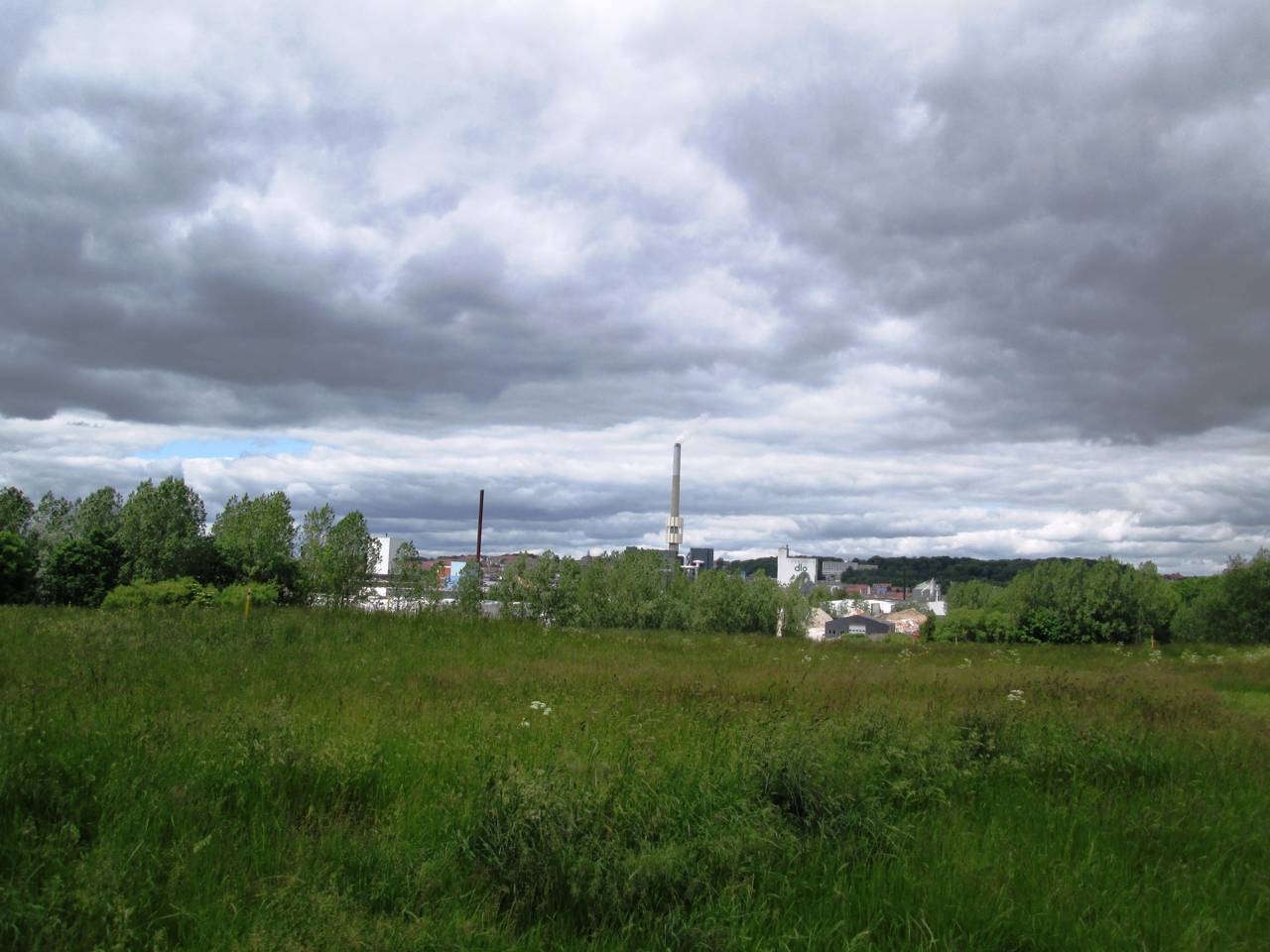 Udsigt fra Skovholmen