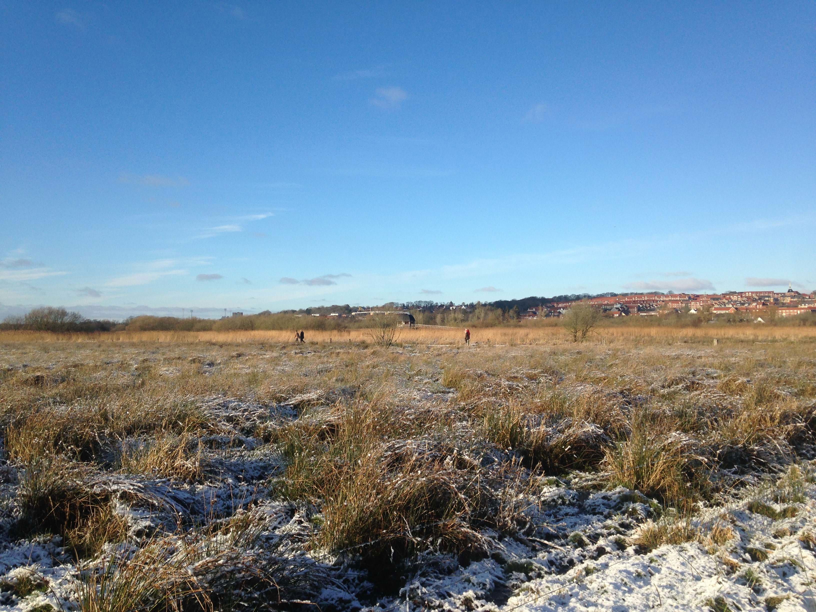 Vorup Enge om vinteren