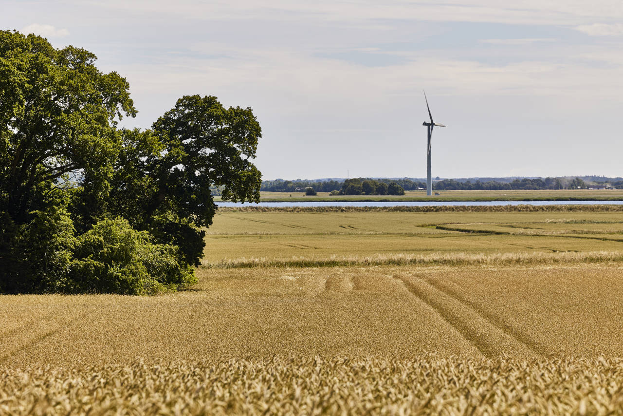Dødislandskabet ved Støvring