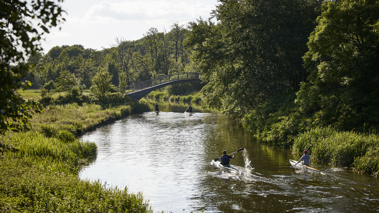 Nørreå i Fladbro Skov