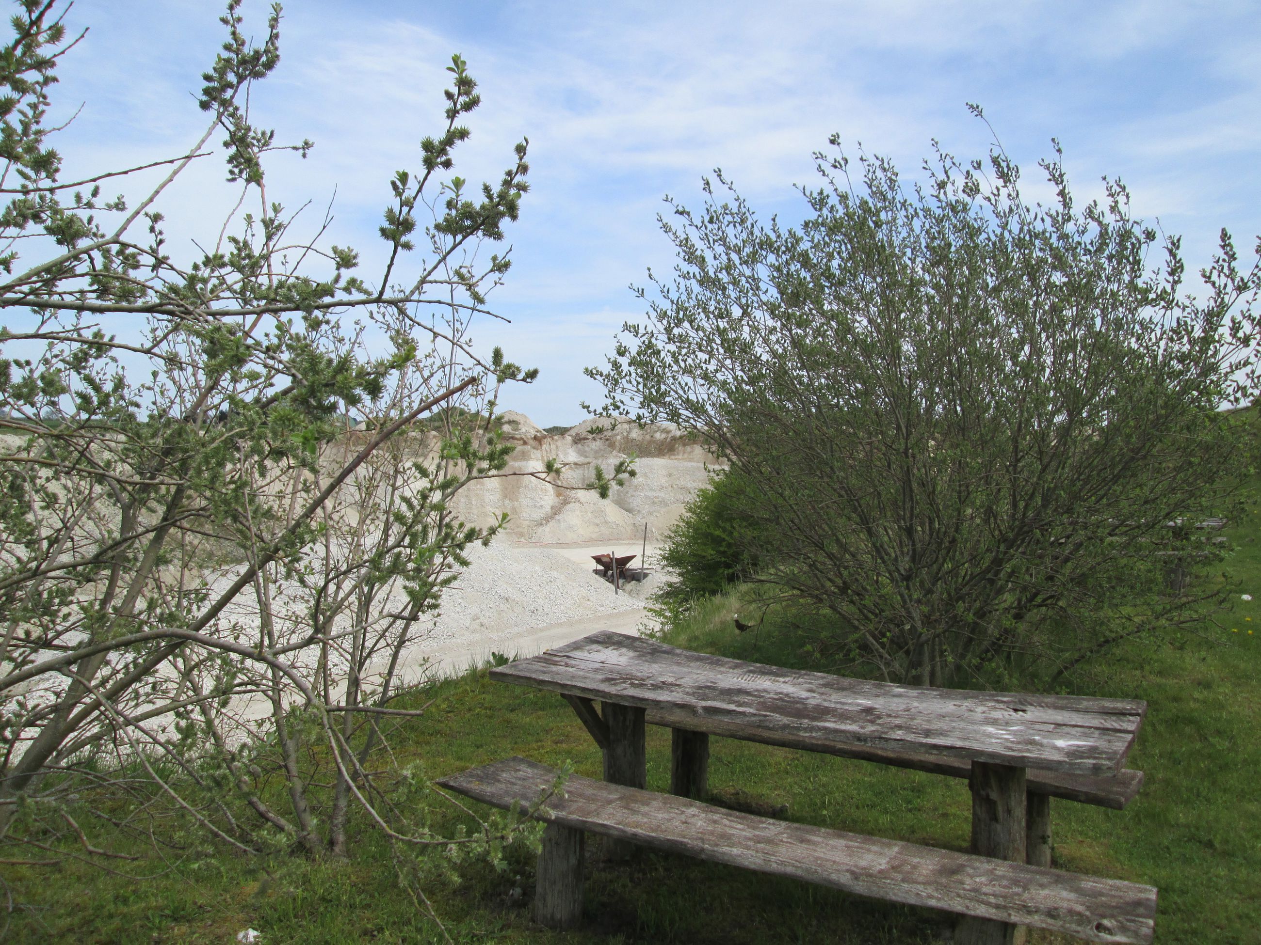 Dalbyover Kalkgrav