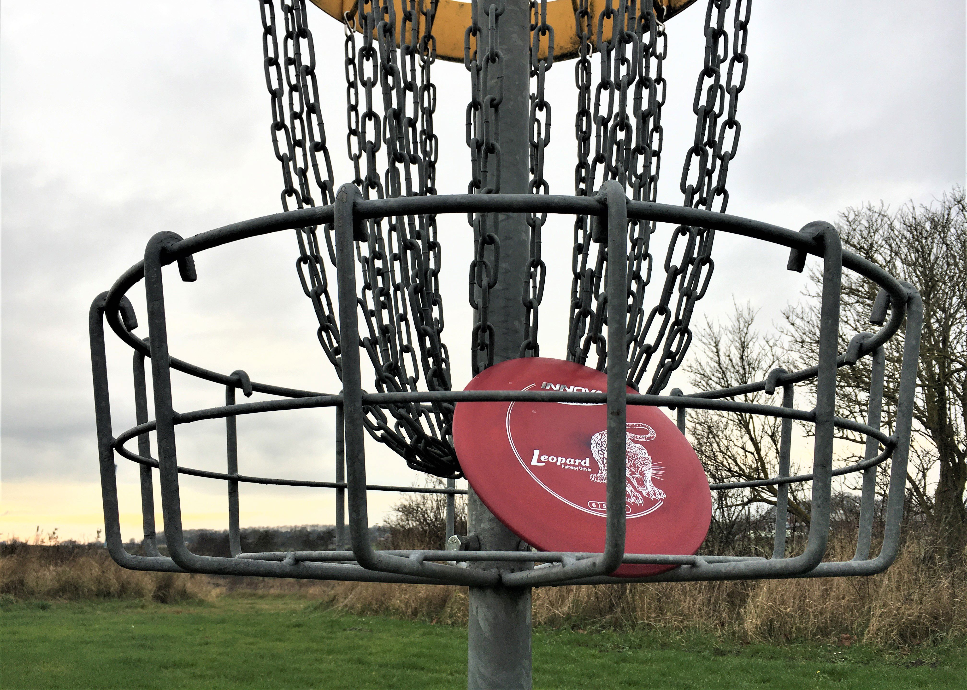 Discgolf
