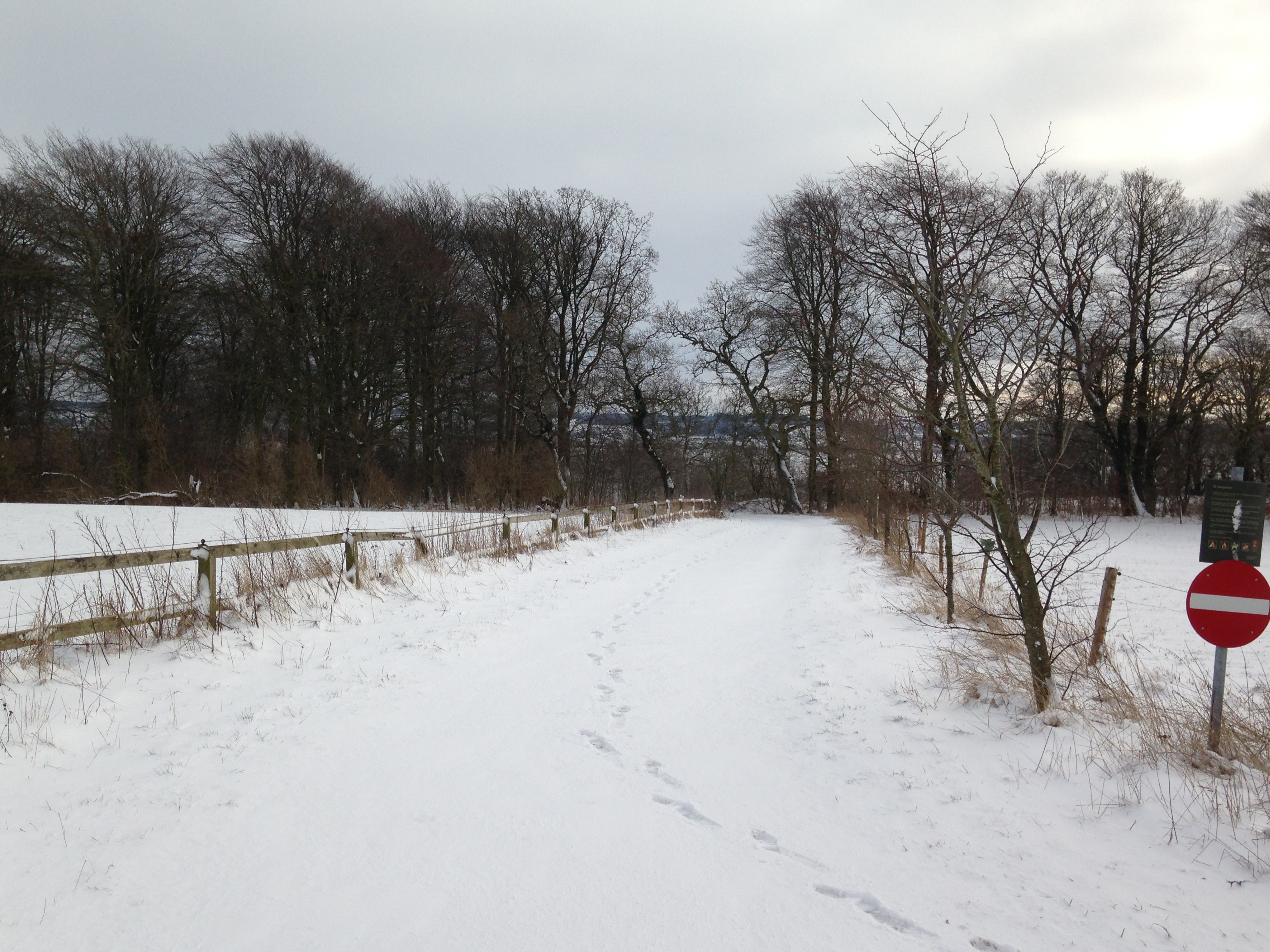 På travetur i lodsens fodspor
