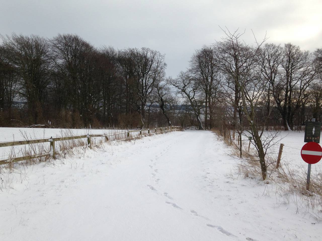 På travetur i lodsens fodspor