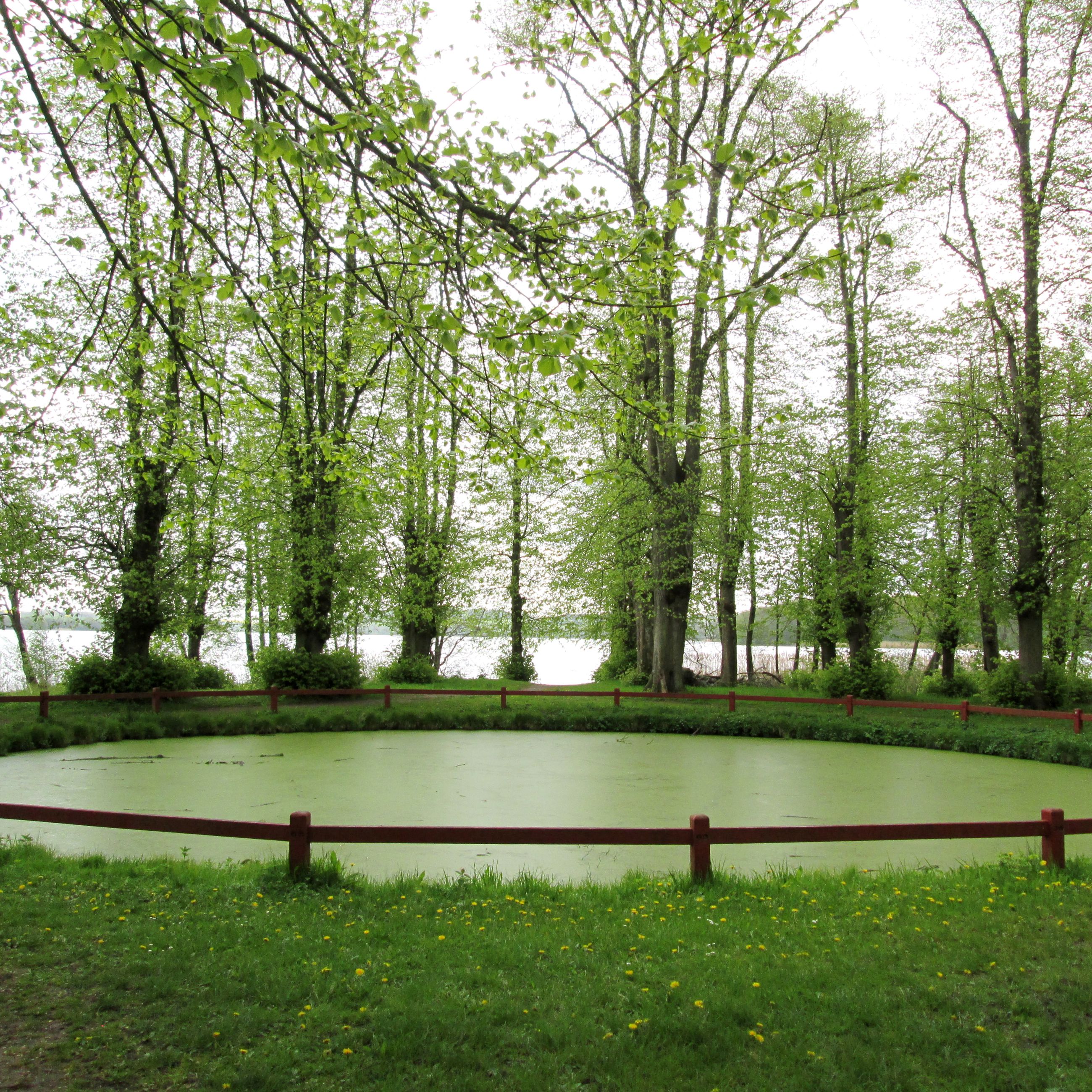 Fussing Sø og Gammelhave