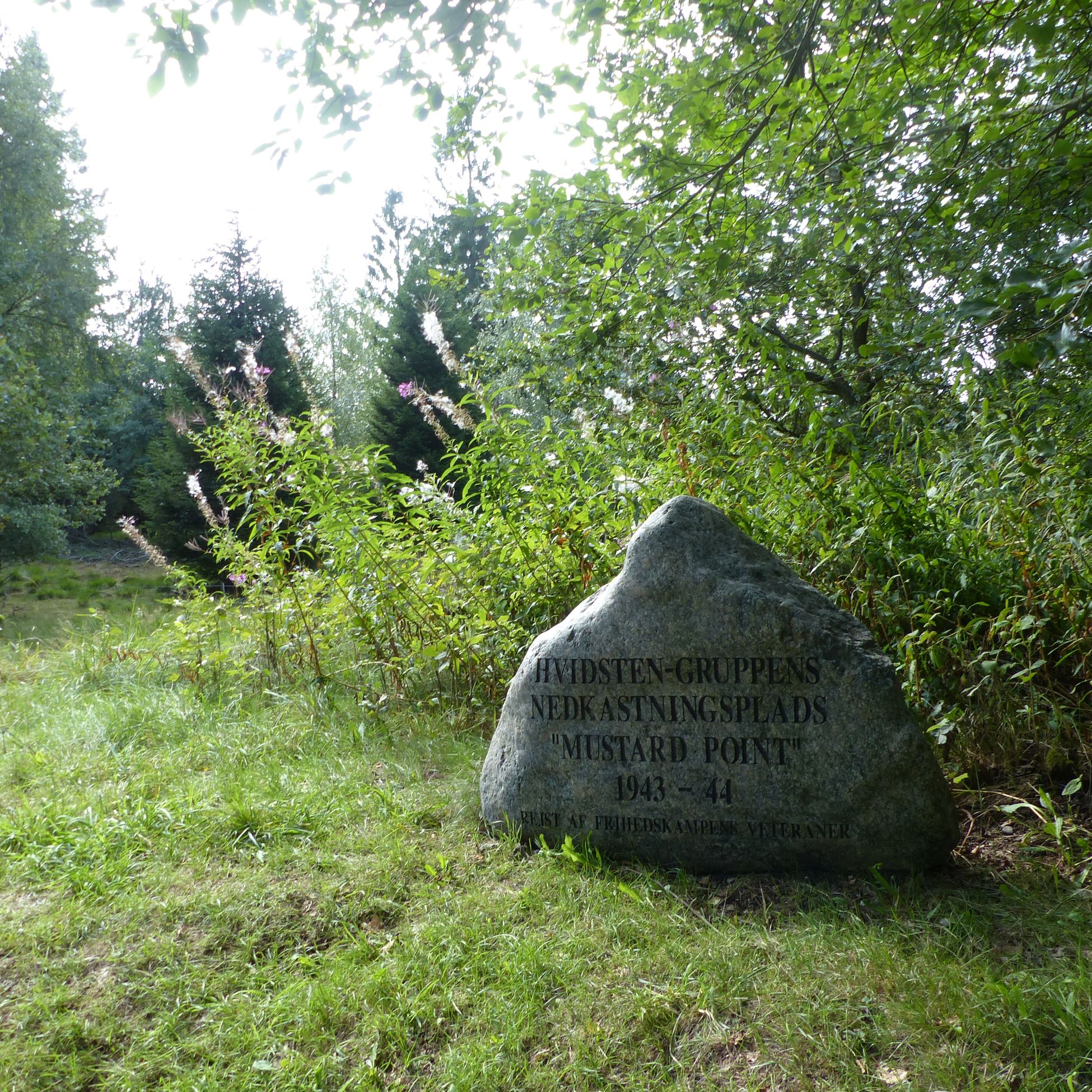 Mustard Point