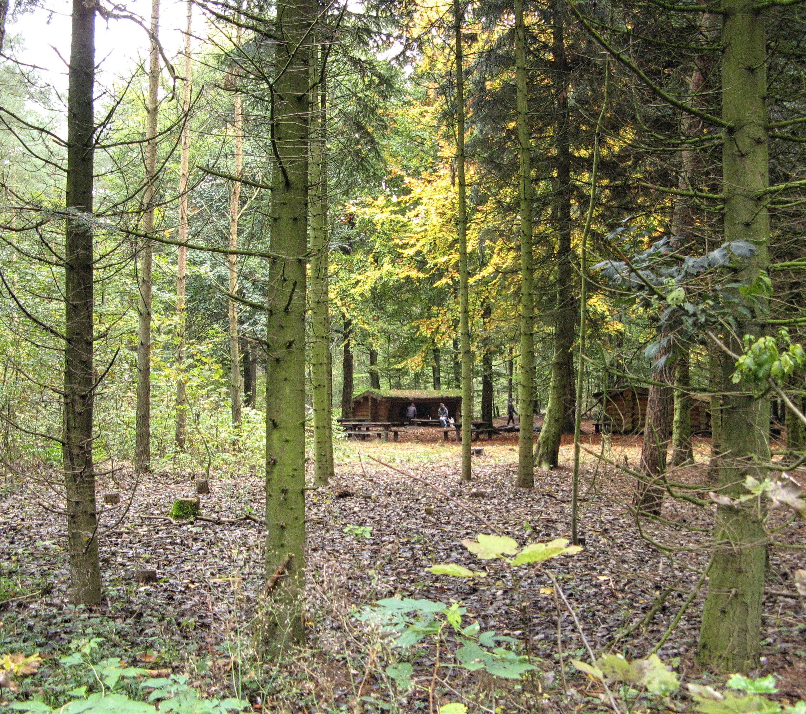 Shelters i Fladbro Skov