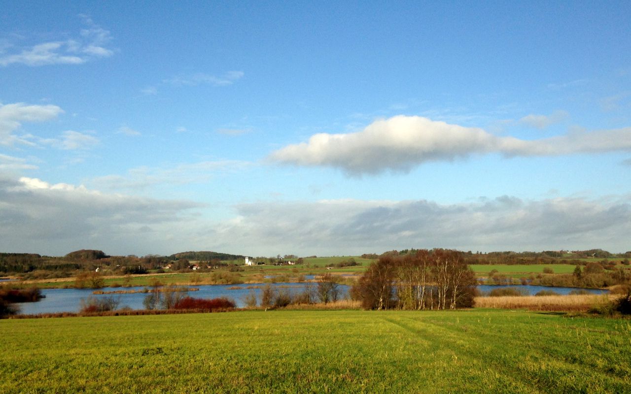 Marker og sø med Kousted Kirke i baggrunden